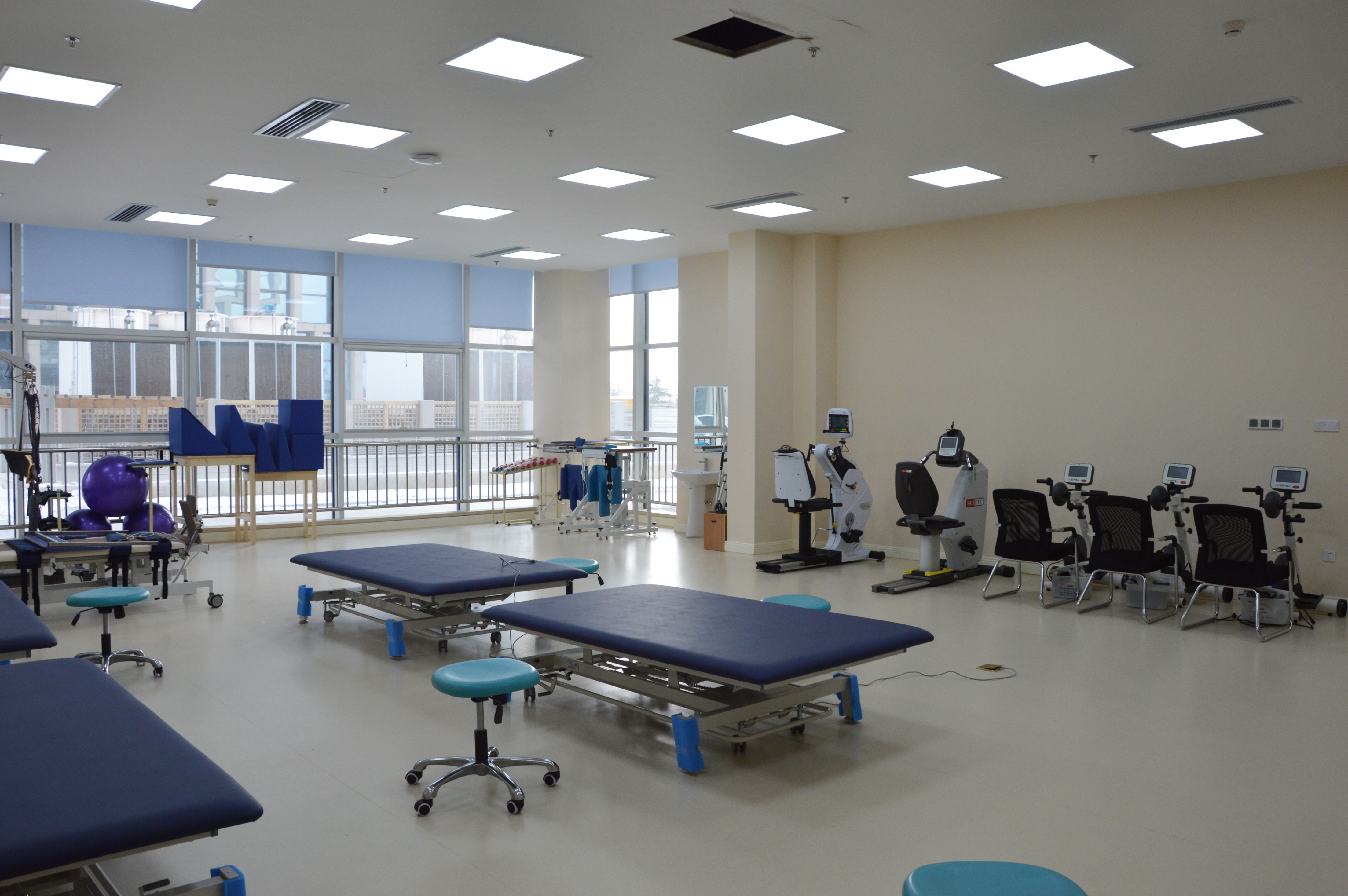 首届青少年体育运动健康科普文化节启幕